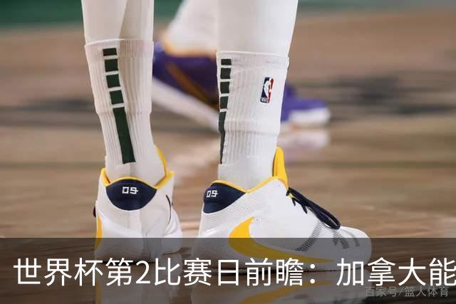 世界杯第2比赛日前瞻：加拿大能否破“0胜”，美国要啃“硬骨头”